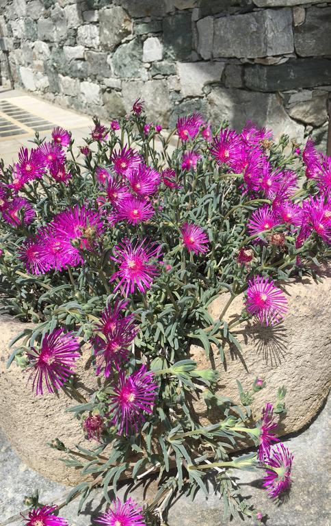 Appartamento Fleur Des Neiges Aosta Esterno foto